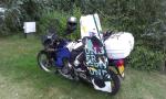 HONDA Transalp 600 Pannier Racks - Symmetrical - Image 3
