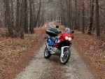 HONDA AFRICA TWIN RD07/A - Crash Bars - Adventure - Image 3